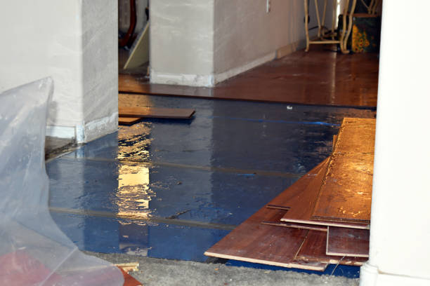 Professional Water Extraction technician working in Karnes City, TX